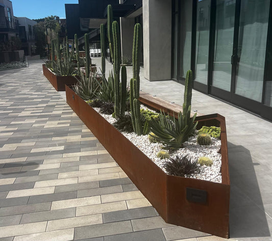 Modern corten steel planter with cactus and succulents on paved walkway