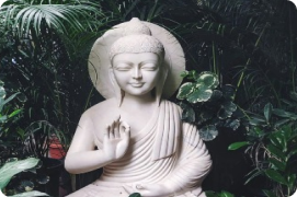 White Buddha statue in lush greenery