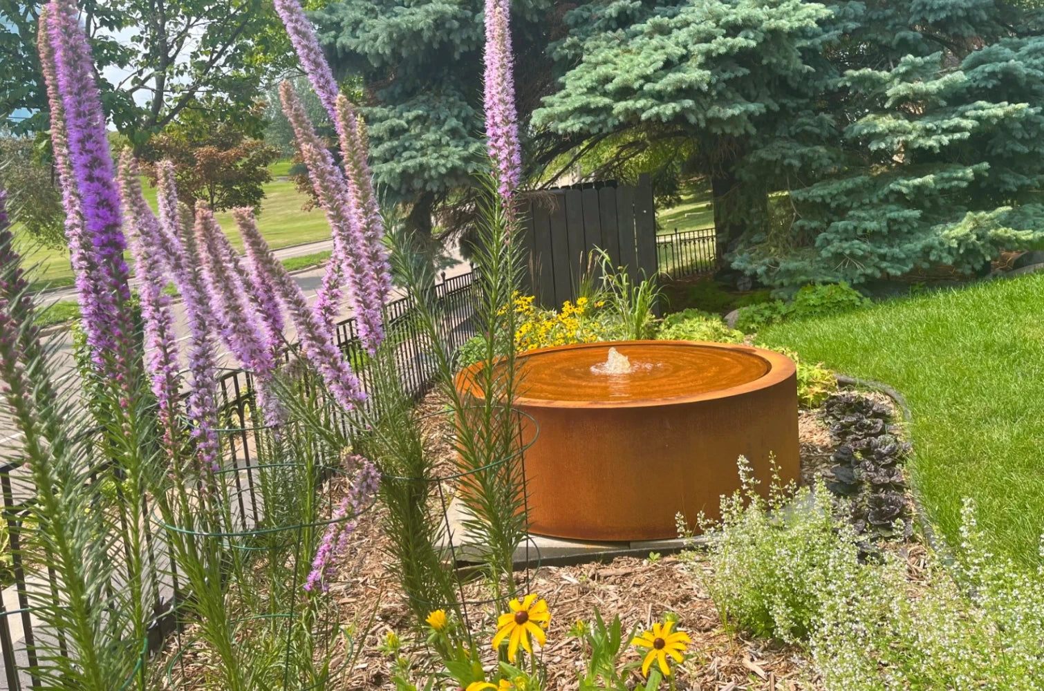 Rust-finished round steel fountain in a native pollinator garden with purple blazing star, black-eyed susans and blue spruce