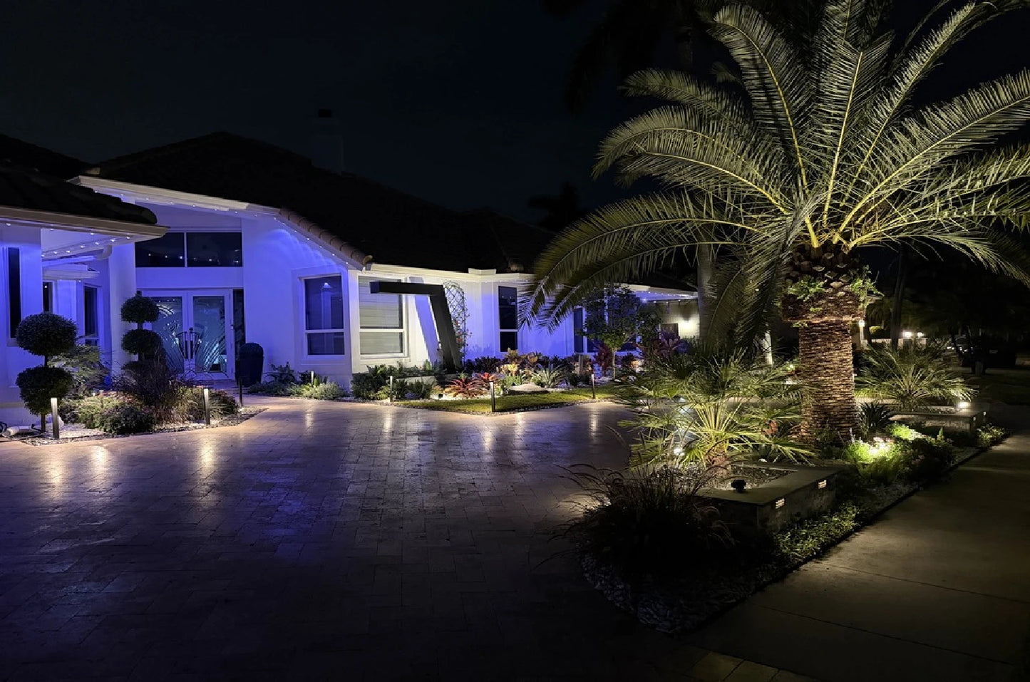 Nighttime front courtyard with uplit palms, topiary and a black steel waterfall feature glowing against the house