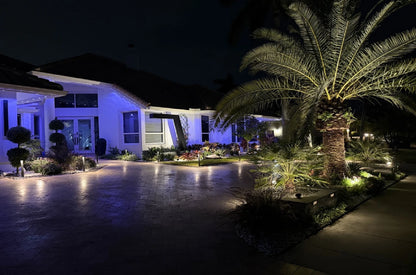 Nighttime front courtyard with uplit palms, topiary and a black steel waterfall feature glowing against the house